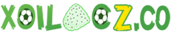 cao đẳng y tế bạch mai
